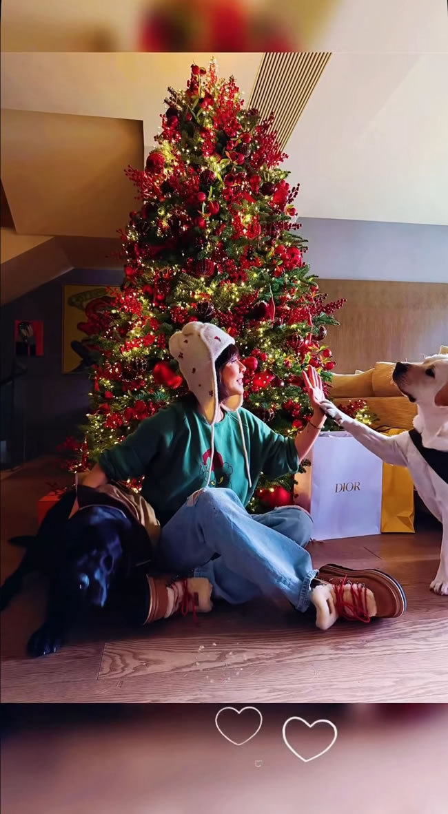 刘嘉玲圣诞开趴曝光豪宅 爱犬相伴不见梁朝伟身影