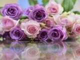 花店老板如何通过微信群从零开始做到月利过万＋的？