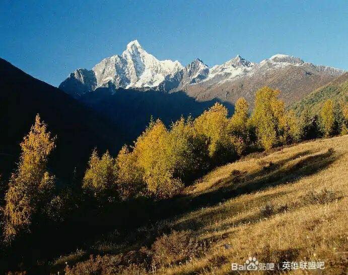 微信图片_20201015020546