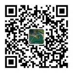 微信炸金花群。。。微信炸金花群哪里找？？？