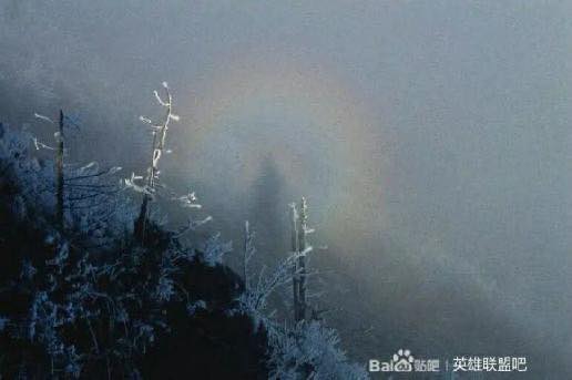 微信图片_20201015020519