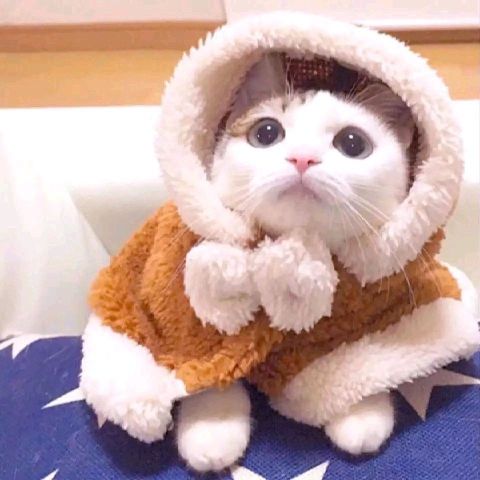 _____末千岁