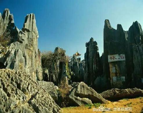 微信图片_20201015020537