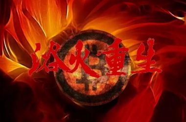 币圈已凉，Token重生