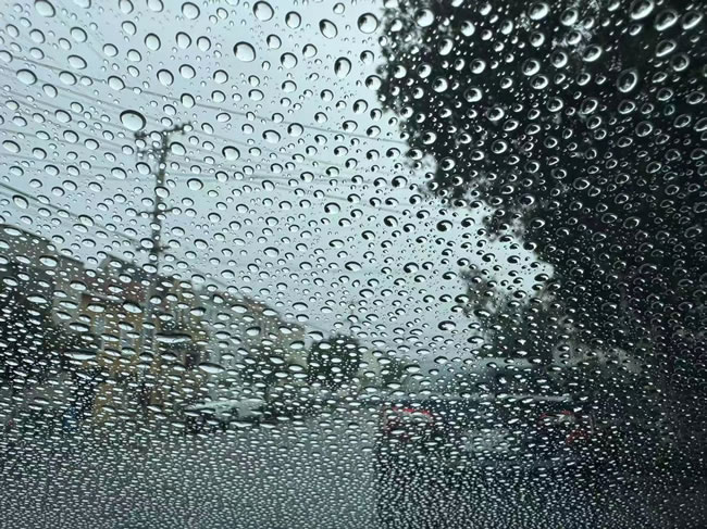 湾区在周日迎来短暂湿冷天气 整体雨量不大