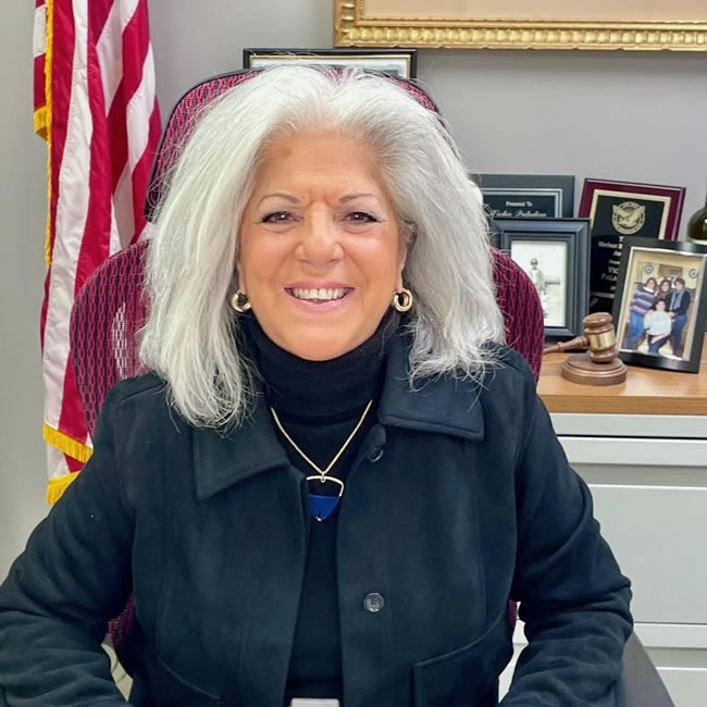 纽约皇后区第19选区市议员选战 帕拉迪诺与赵荣光互指拉（一元一分麻将群）票干扰